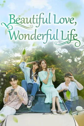 Beautiful Love, Wonderful Life artwork