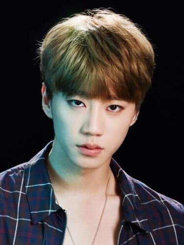 Lee Jun Young portrait