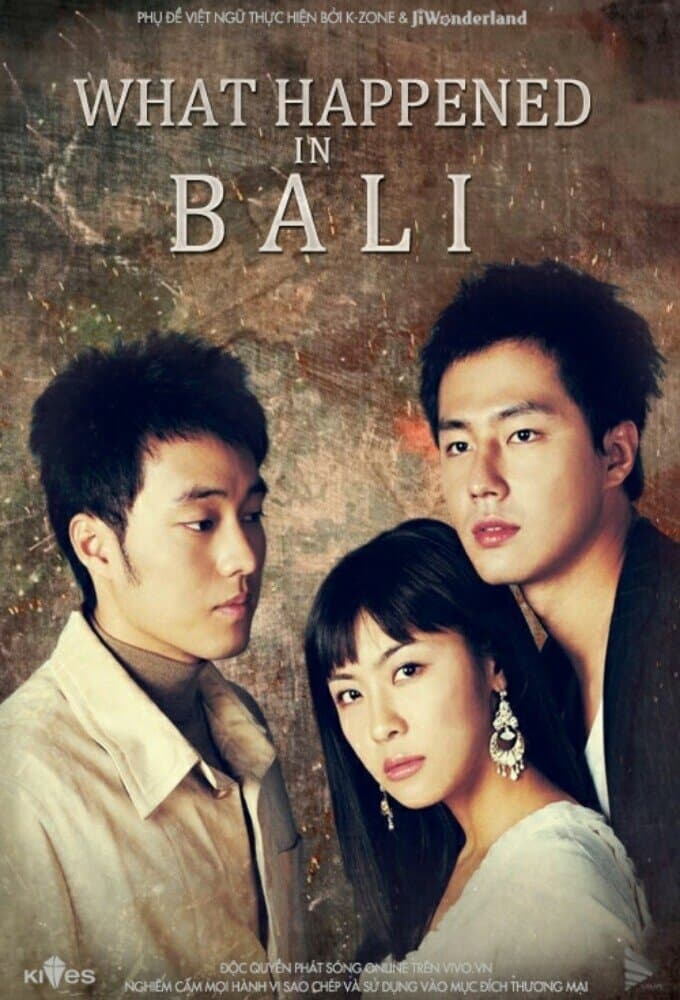 What Happened in Bali artwork