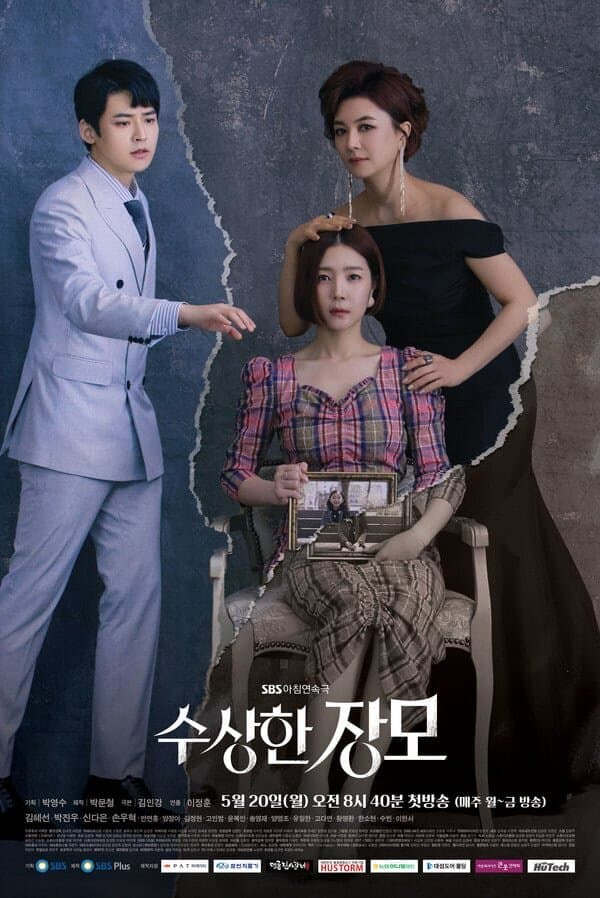 Shady Mom-in-Law poster