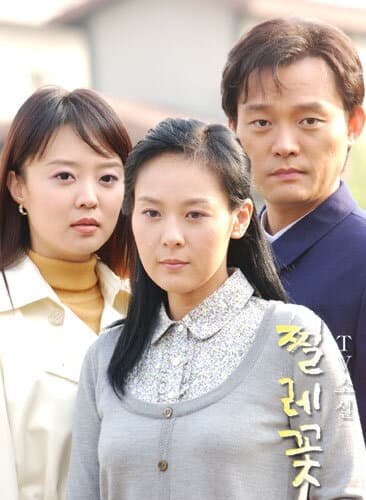 TV Novel: Briar Flower poster