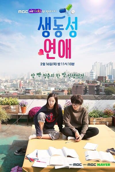 Vivid Romance poster
