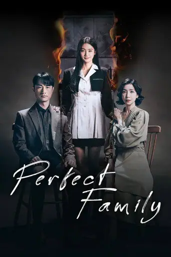 Perfect Family poster